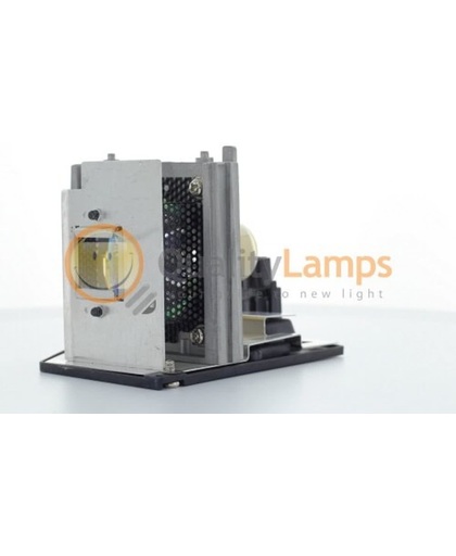Toshiba TLPLW5 Beamerlamp (bevat originele UHP lamp)