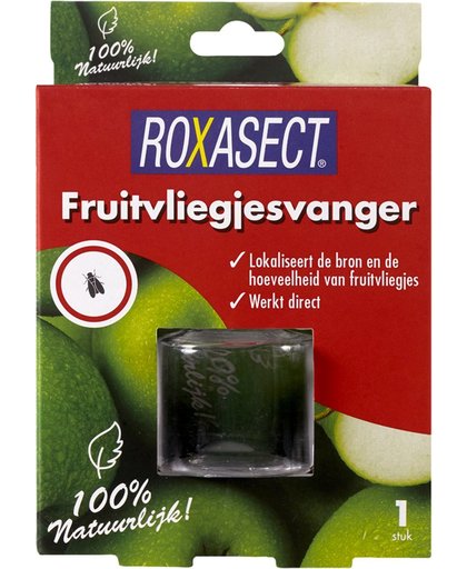 Roxasect Fruitvliegjes Vanger 1stuk