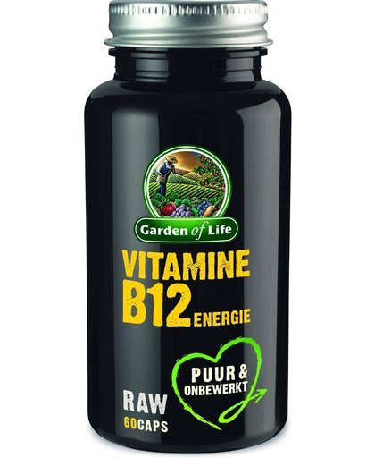 Garden Of Life Raw Vitamine B12 Capsules