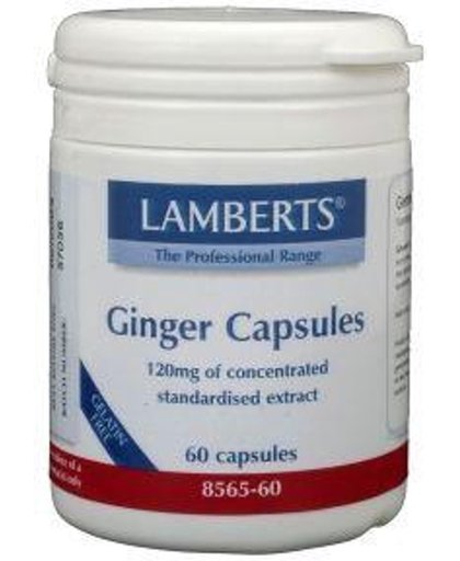 Lamberts Ginger