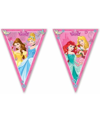 Disney Prinsessen Vlaggenlijn