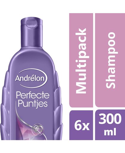 Andrelon Shampoo Perfecte Puntjes Voordeelverpakking