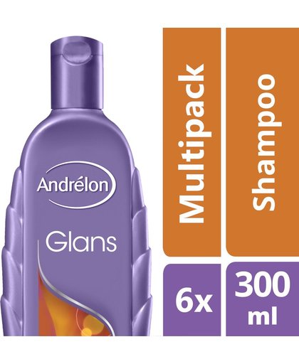 Andrelon Shampoo Glans Zomertarwe Voordeelverpakking