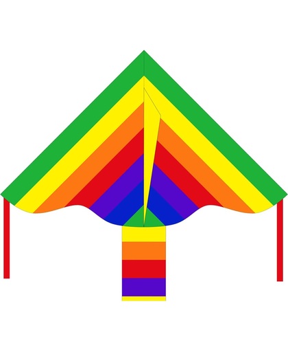 HQ Eco Line Simple Flyer Rainbow 85cm