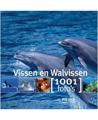 Vissen en walvissen 1001 foto's - 1001 foto's