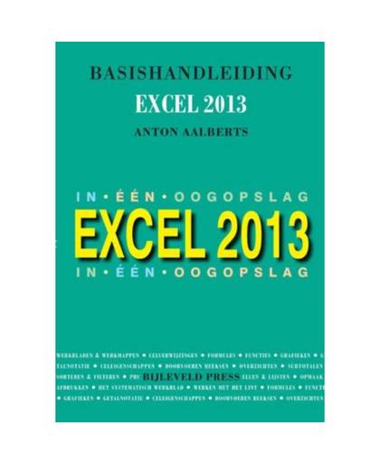 Basishandleiding Excel / 2013