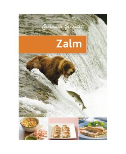 Culinair genieten Zalm (set van 5)