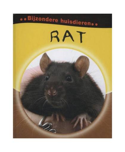 Rat - Bijzondere huisdieren