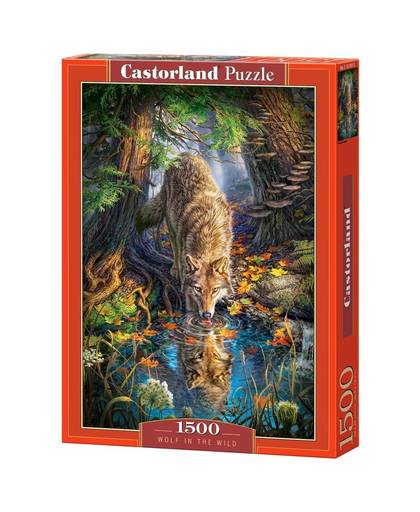 Castorland legpuzzel Wolf in the Wild 1500 stukjes