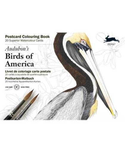 Audubon's birds of America - Postcard coloring