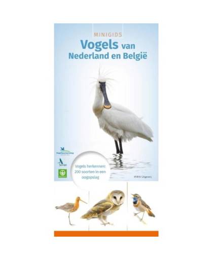 Minigids vogels van Nederland en België -