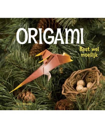 Origami, Best wel moeilijk