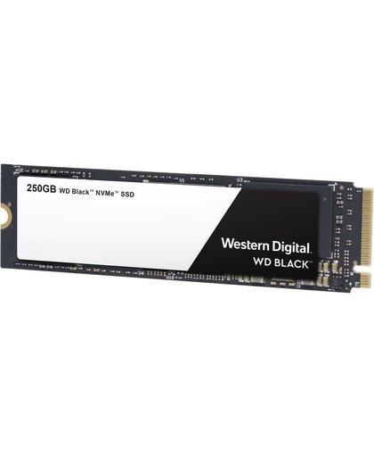 Western Digital WDS250G2X0C 250GB M.2 PCI Express 3.0 internal solid state drive