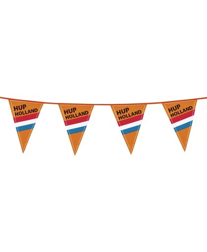 48 stuks: Vlaggenlijn - Hup Holland - 6m - 15 vlaggen