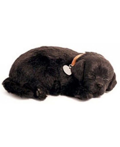 Pluche slapende Labrador knuffel zwart