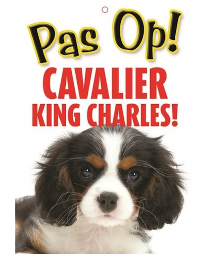 Honden waakbord pas op Cavalier King Charles 21 x 15 cm