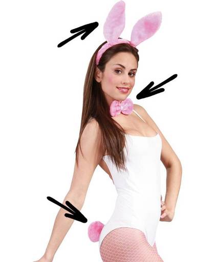 Playboy Bunny Set Roze
