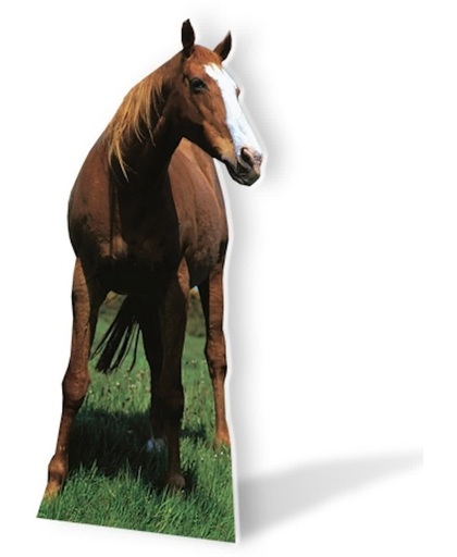 Groot decoratiebord paard 190 cm