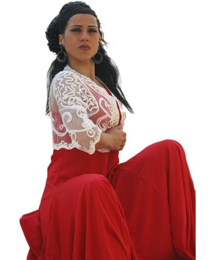 Spaanse torera - kanten hesje - bolero wit - Flamenco verkleedkleding