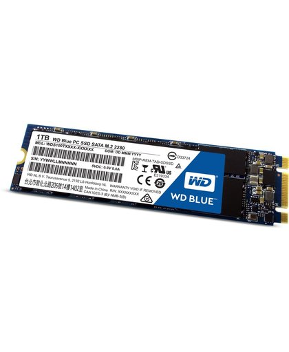 Western Digital Blue PC 1000GB M.2