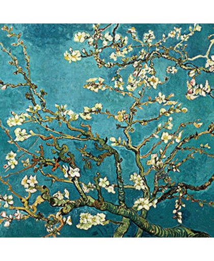 Diamond pianting pakket - Van Gogh almond blossom 40X40