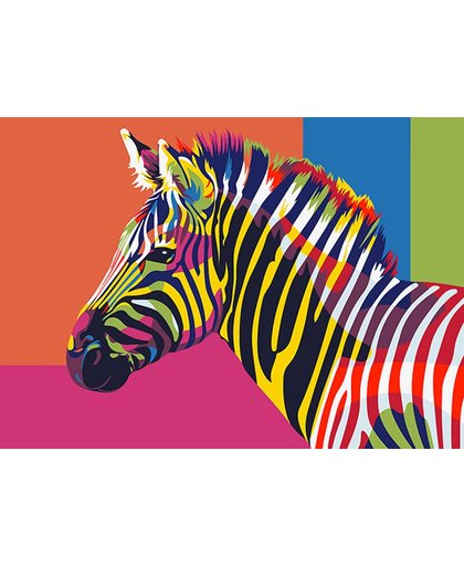 Schilder op Nummer Regenboog Zebra A4
