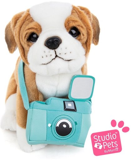 Star - Studio Pets pluche Engelse Bulldog puppy