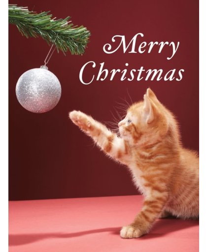 Christmas Kitty Boxed Holiday Full Notecards