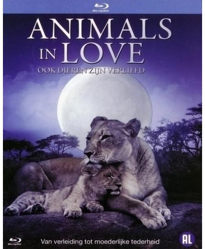 Animals in Love