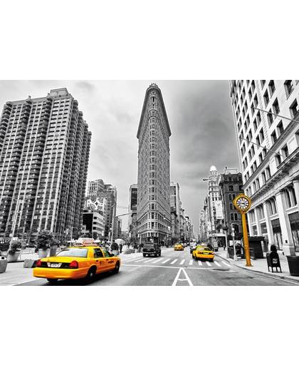 Educa Flatiron Building - New York - 1000 stukjes
