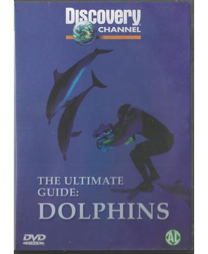 Ultimate Guide To Dolphins