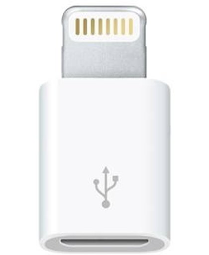 Lightning naar Micro USB converter voor Apple Producten