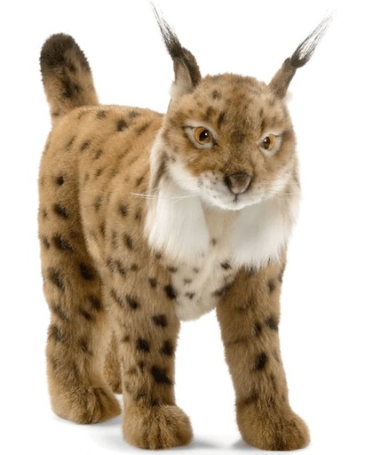Pluche knuffel lynx bruin 35 cm
