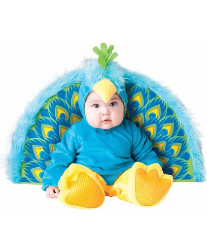 Pauwen kostuum voor baby's - Premium - Kinderkostuums - 50-68