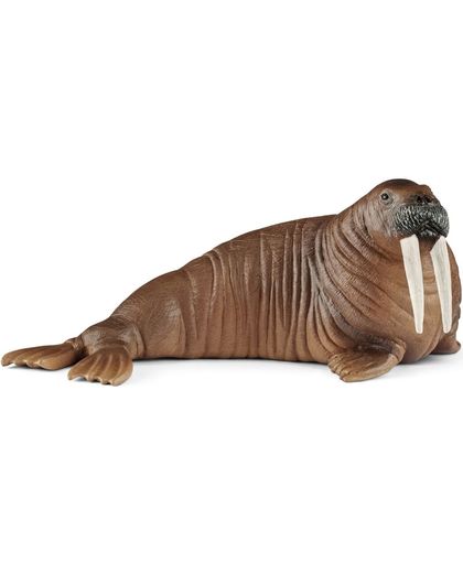Schleich Walrus Afmeting artikel: 13,5 x 6,5 x 5,5 cm