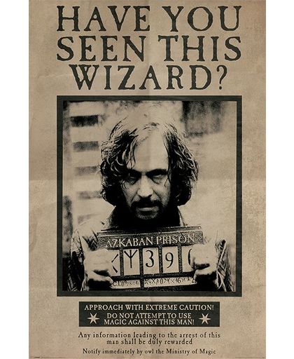 Harry Potter Wanted Sirius Black Poster meerkleurig