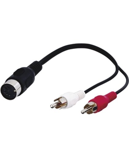 Wentronic AVK 104-0020 0.2m PL 0.2m 5-pin DIN 2 x RCA Zwart audio kabel