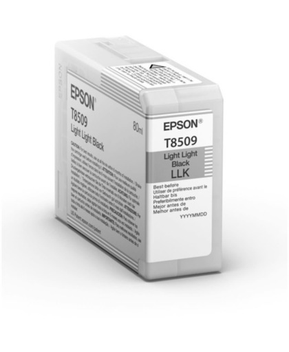 Epson T850900 inktcartridge Licht licht zwart 80 ml