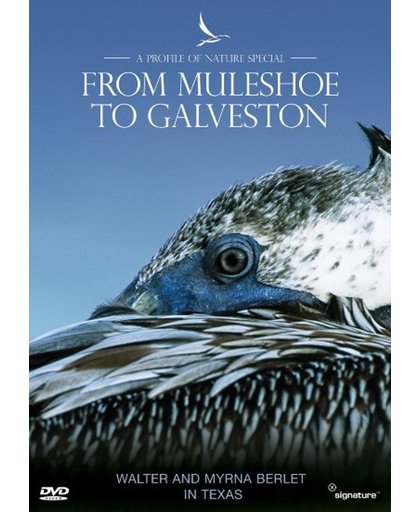 From Muleshoe To Galveston - Profil - From Muleshoe To Galveston - Profil