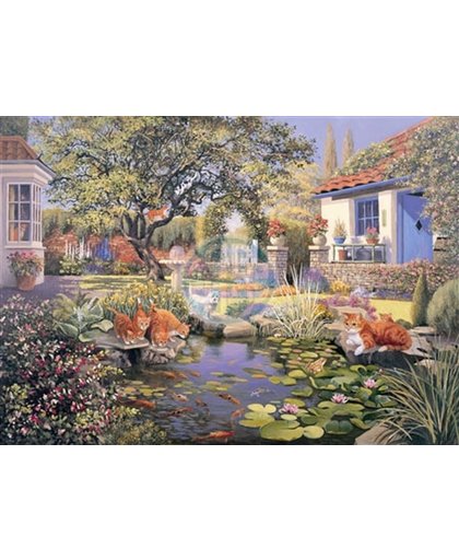 House of Puzzels Garden Pond