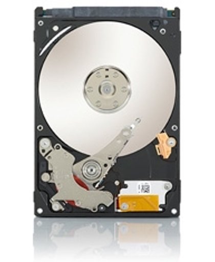 Seagate Video 2.5 - Interne harde schijf - 500 GB
