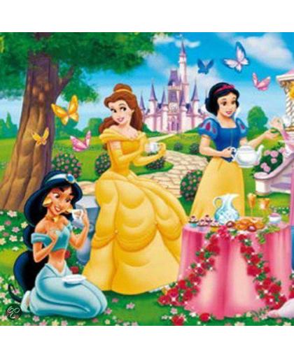 Disney Prinsessen (4x6)