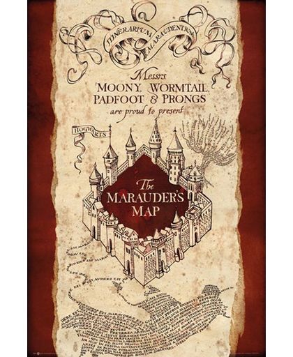 Harry Potter Marauder&apos;s Map Poster meerkleurig