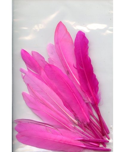 Gekleurde Hobby veren - roze