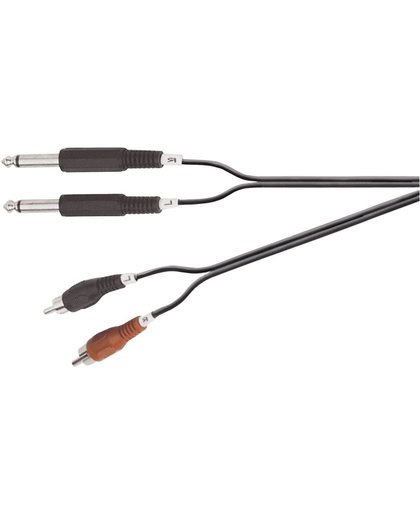 Electrovision 2x 6,35mm Jack - Tulp stereo audio kabel - 1,5 meter