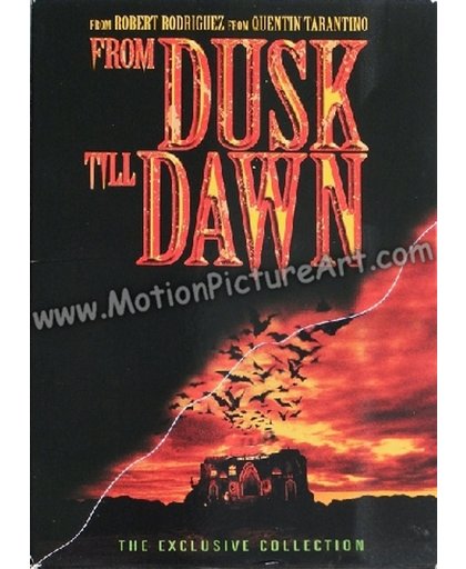 From Dusk Till Dawn Collector's Box Set: From Dusk Till Dawn / Texas Blood Money / The Hangman's Daughter
