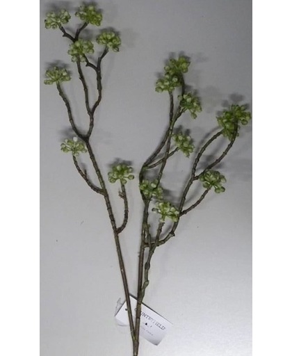 Arborescens Amelia groen L58cm