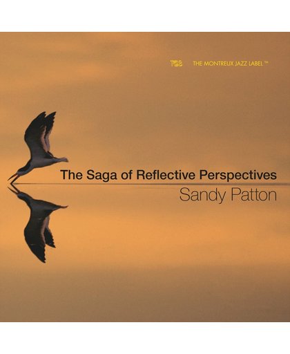 The Saga Of Reflective Perspectives