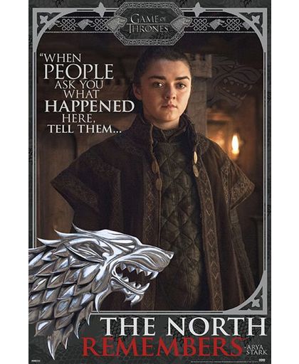 Game of Thrones Arya Stark Poster meerkleurig