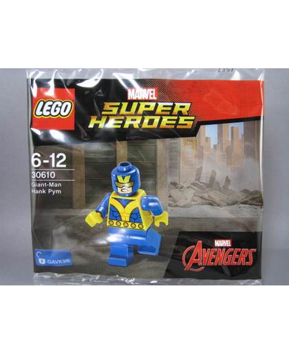 Lego Super Heroes Giant -Man Hank Pym